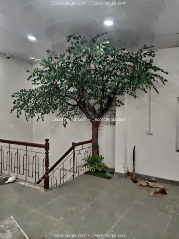 cây cổ thụ giả đẹp như thật