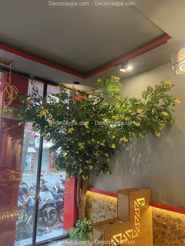 cây điệp vàng giả trang trí quán