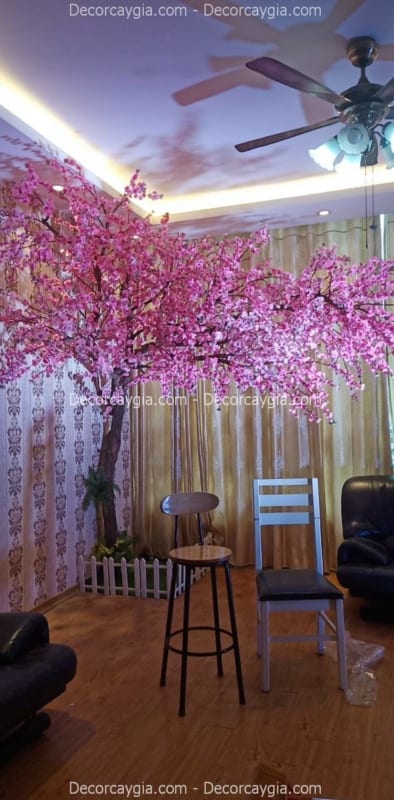 cây hoa anh đào giả