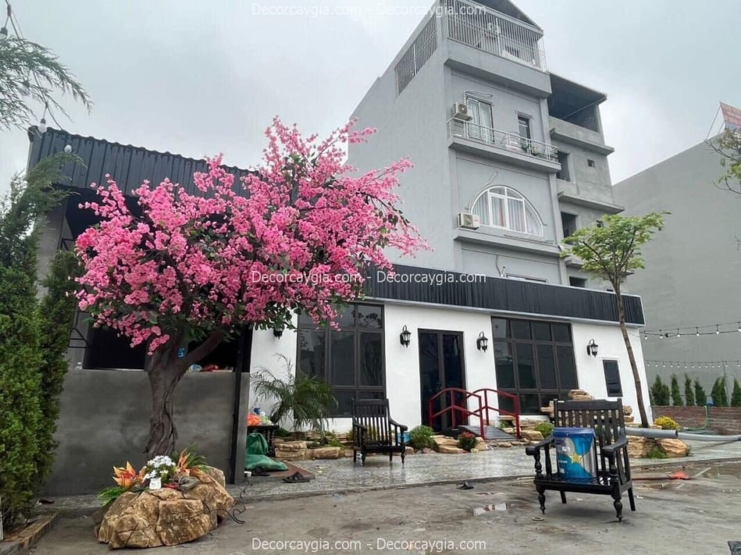cây hoa anh đào giả hcm
