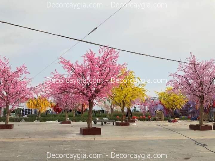 cây hoa anh đào giả sự kiện cây hoa anh đào giả sự kiện