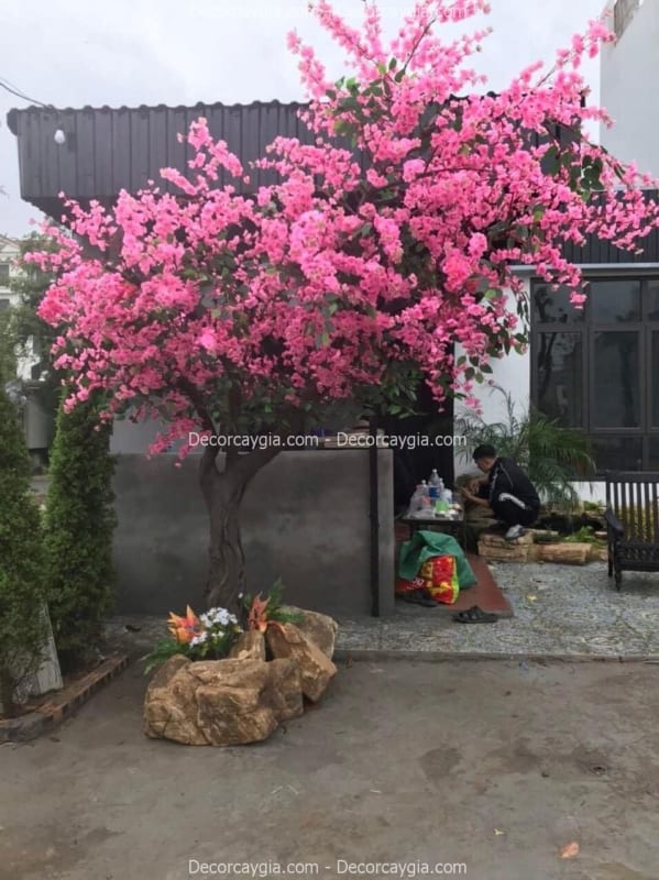 cây hoa anh đào giả