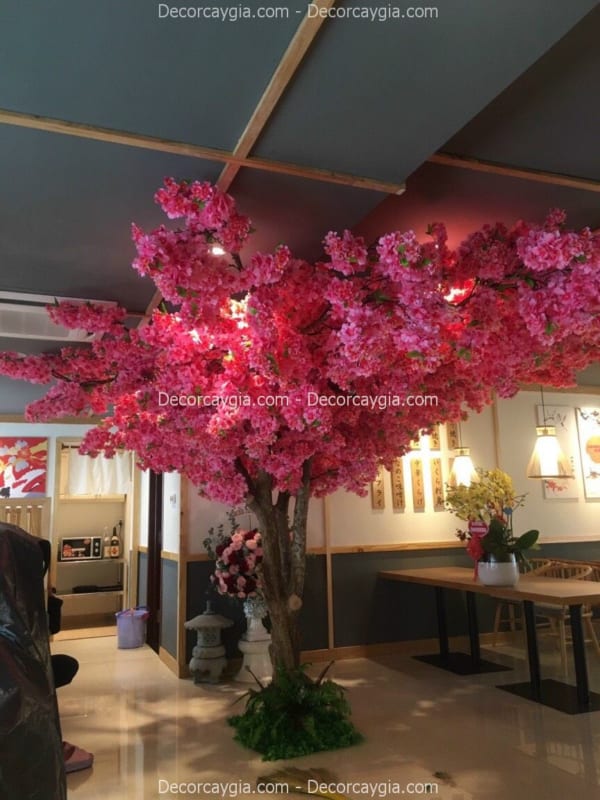 cây hoa anh đào giả