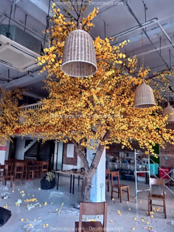 Cây hoa mai giả