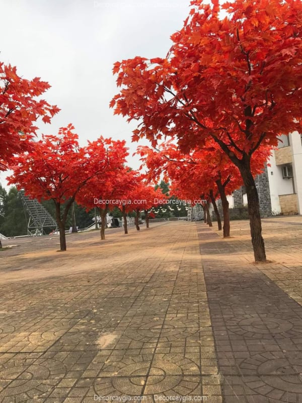 cây phong giả sự kiện