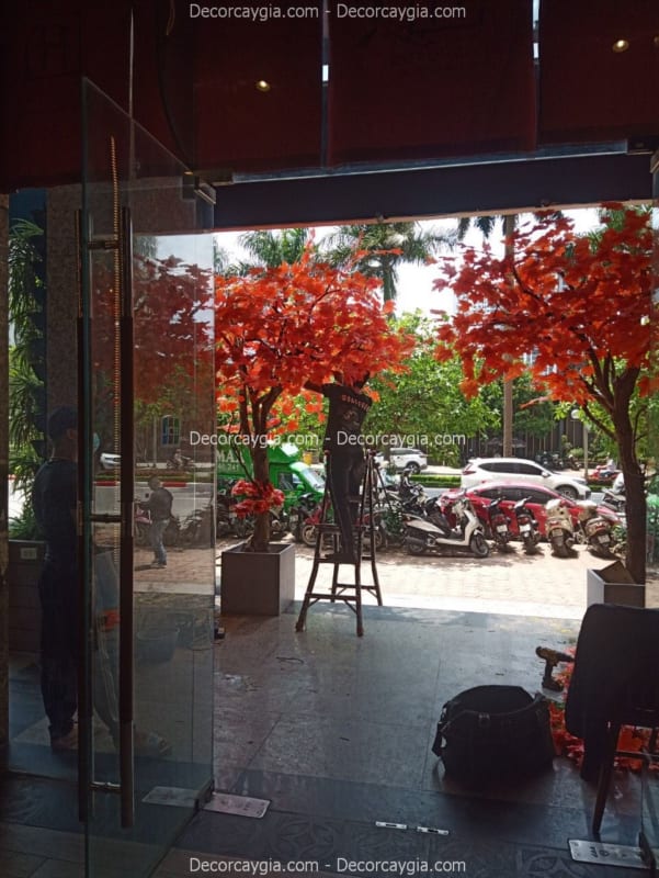 Cây phong giả trang trí nhà hàng