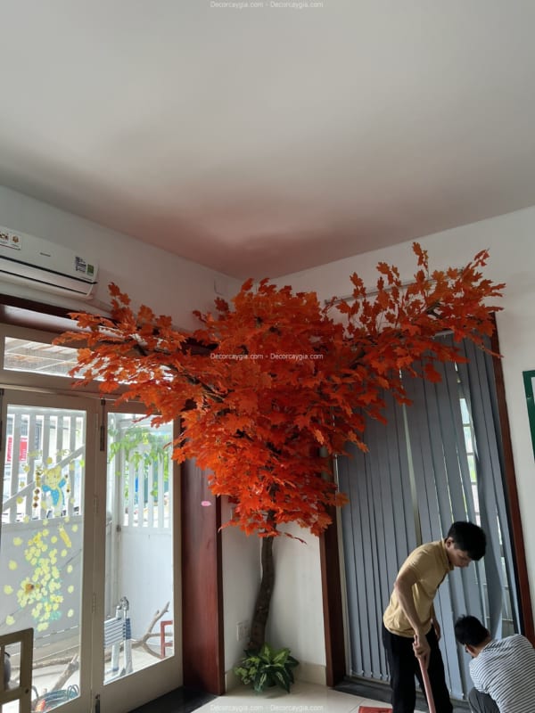 cây phong lá đỏ giả
