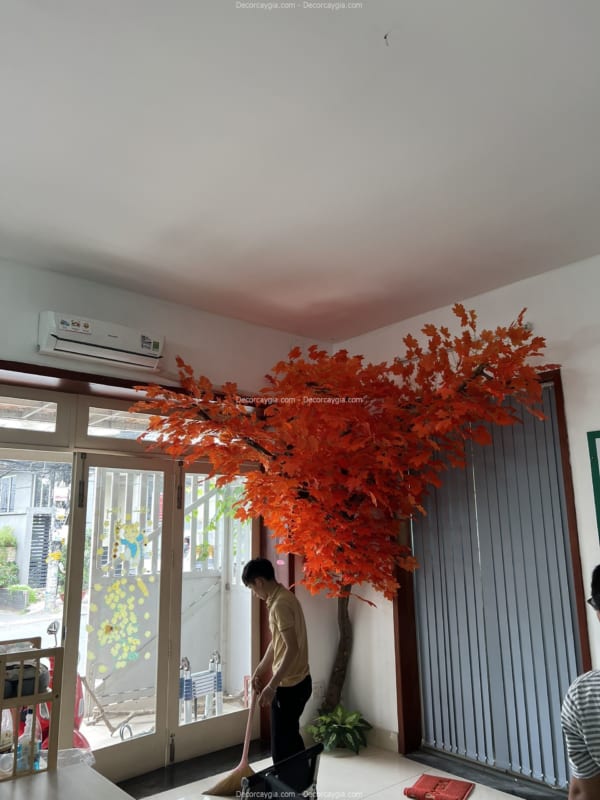 cây phong lá đỏ giả