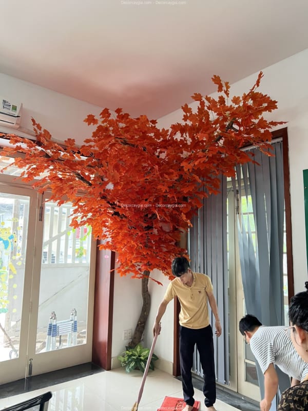 cây phong lá đỏ giả