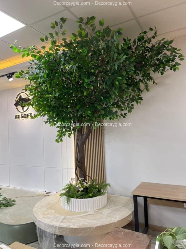 cây si giả đẹp như thật