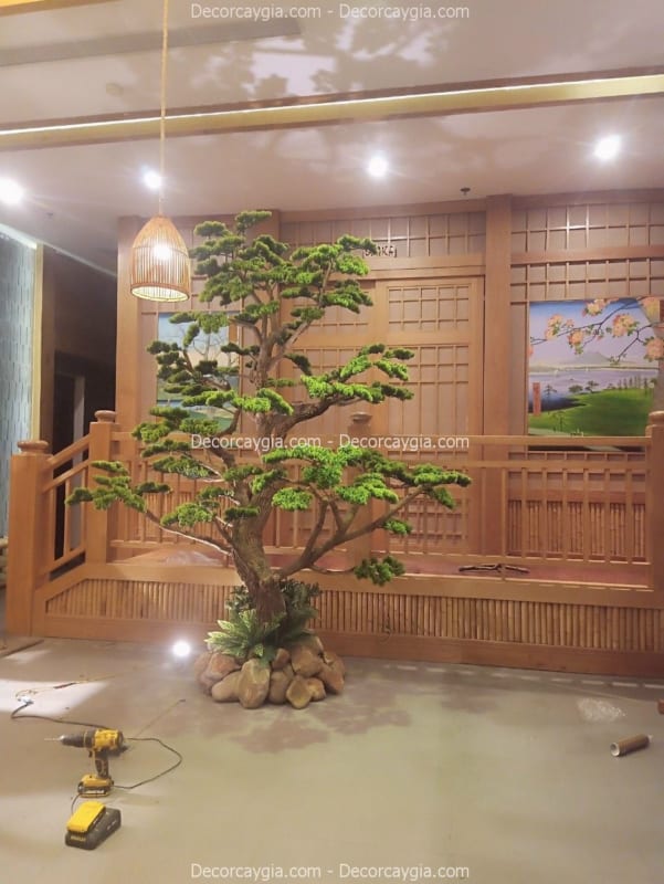 cây tùng bonsai giả