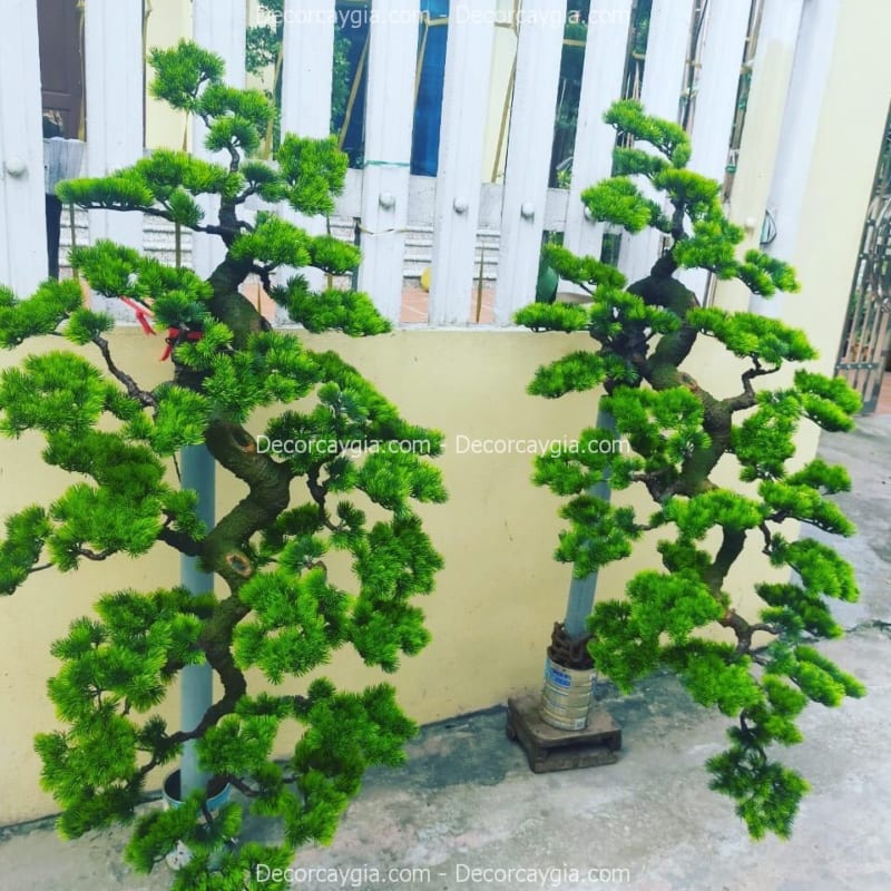 cây tùng giả hà nội