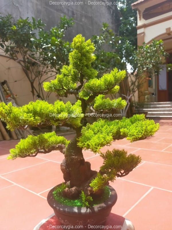 chậu cây tùng giả