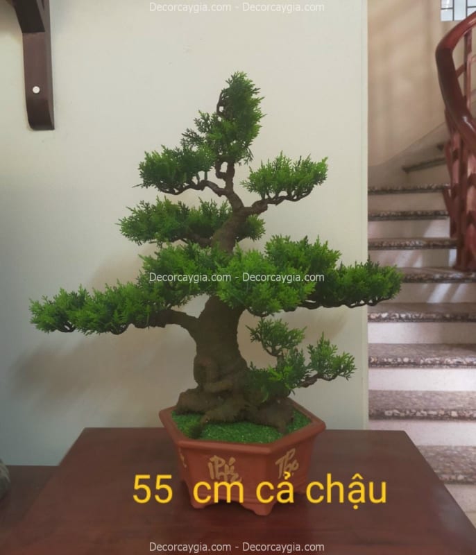 chậu cây tùng giả