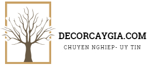 Decorcaygia.com