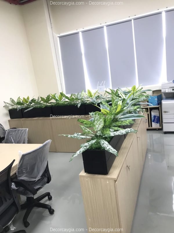 Bục cây giả bằng gỗ