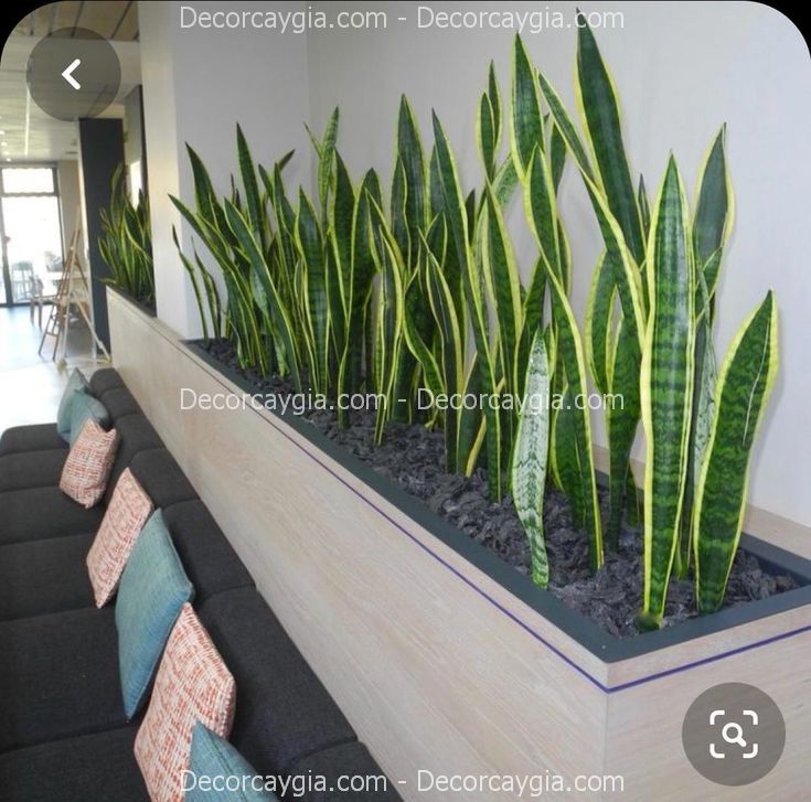 Bục cây giả quận 3 TPHCM