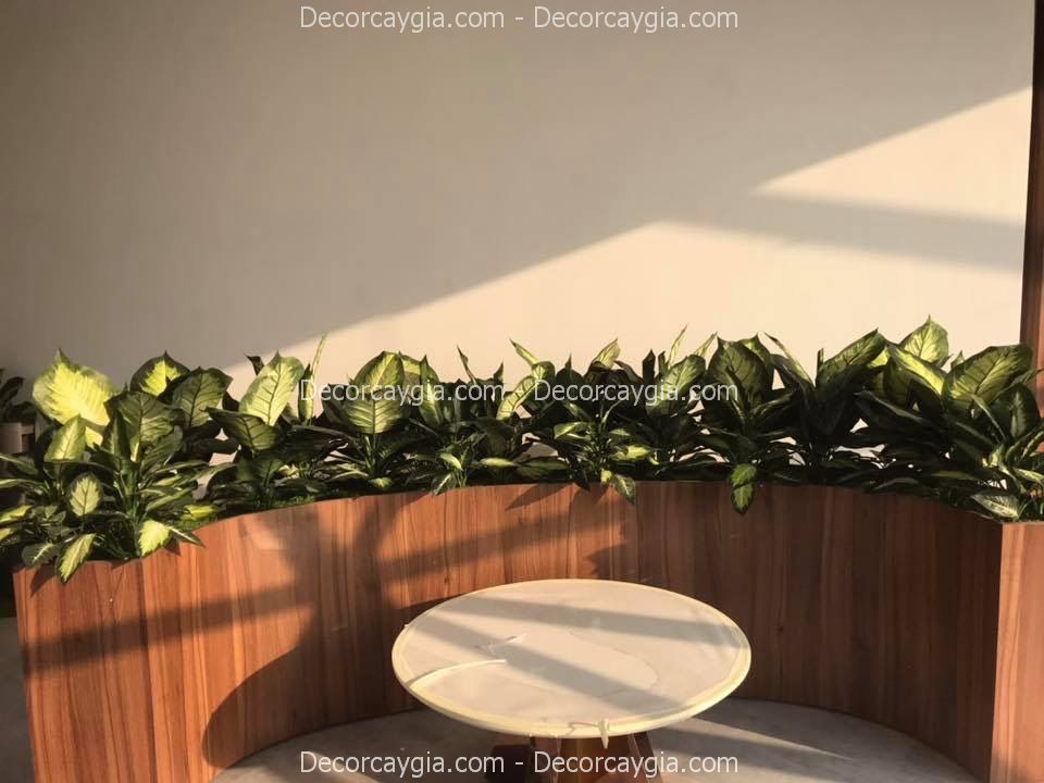 Bục cây giả quận 7 TPHCM