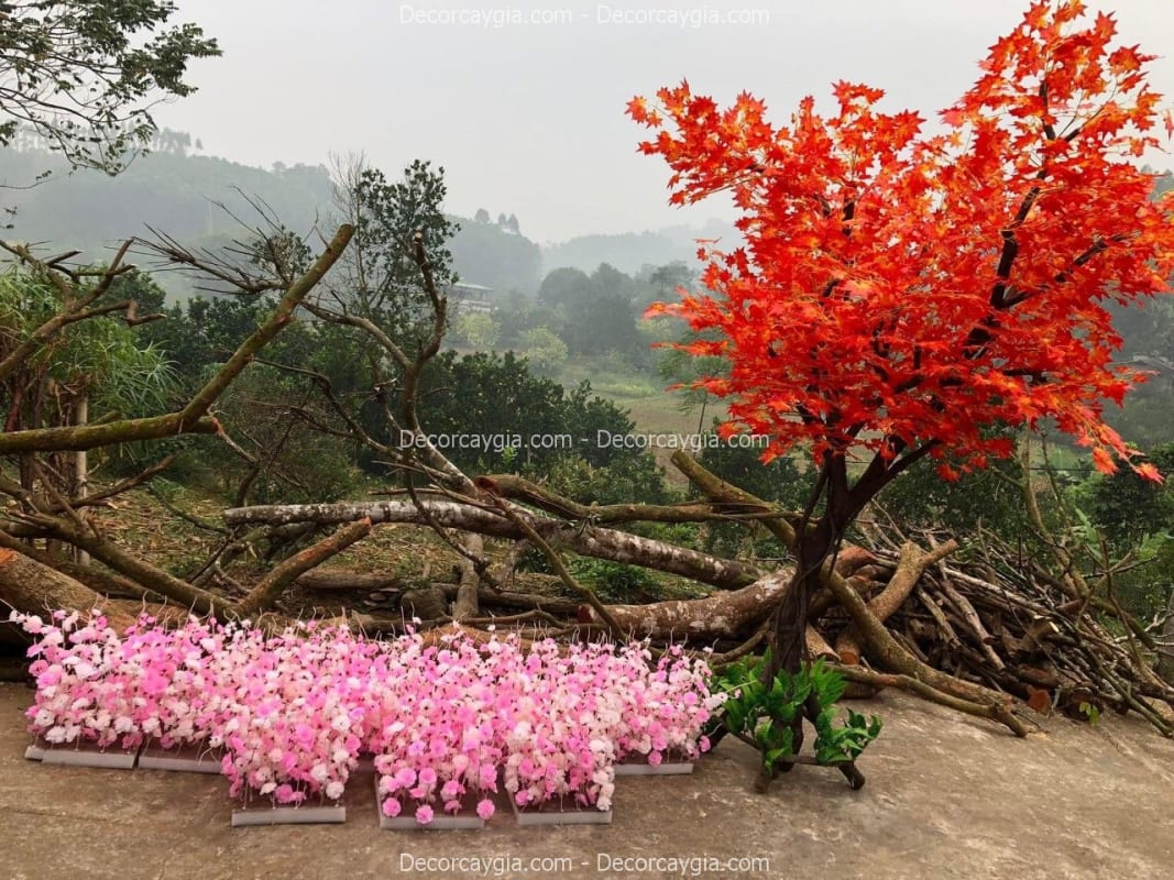Cây cổ thụ giả lá đỏ