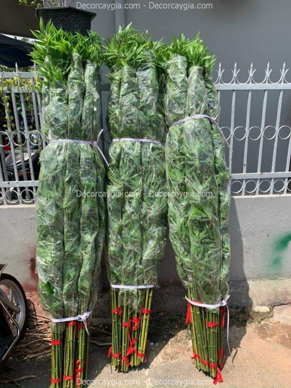 Cây giả quận 5 TPHCMCây giả quận 5 TPHCM