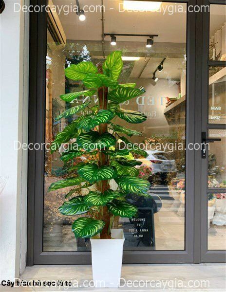 Cây giả trang trí phòng khách Cây giả trang trí phòng khách