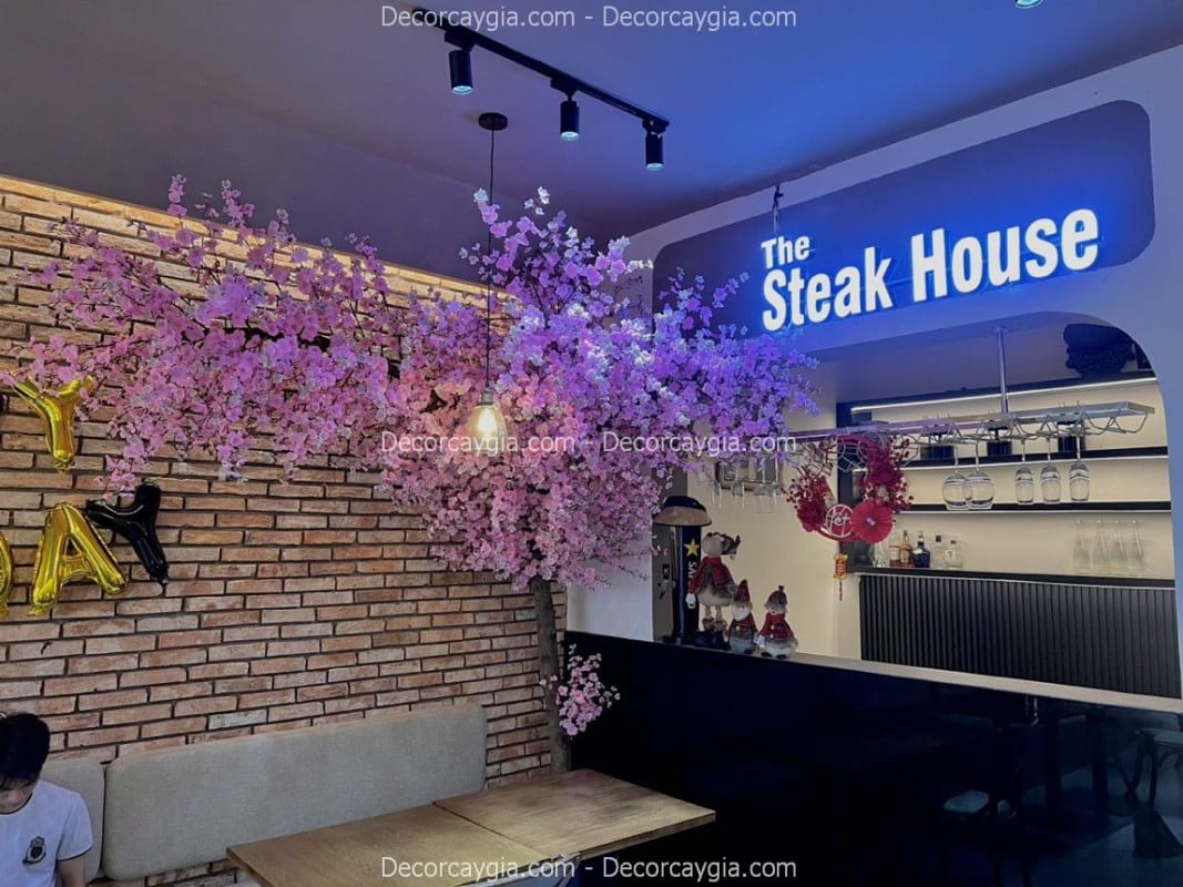 Cây hoa anh đào giả cao 2m6