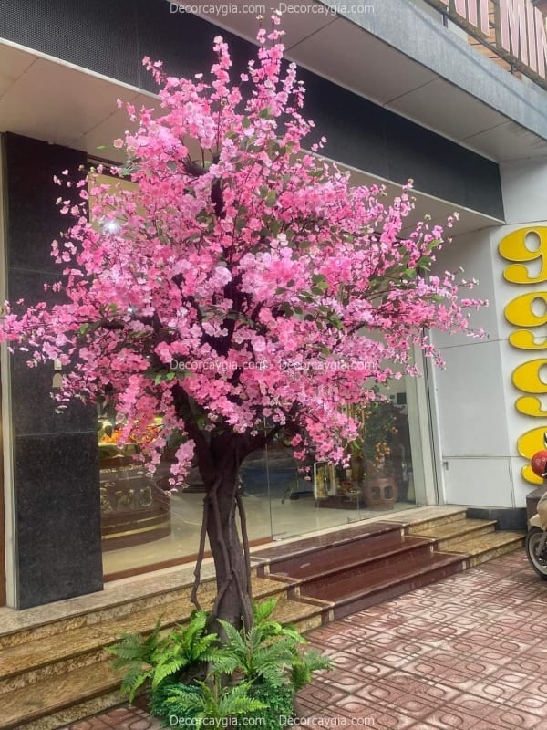 cây hoa anh đào giả