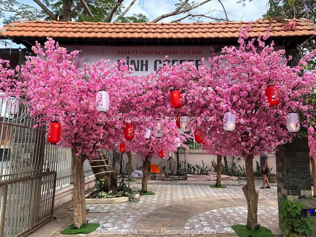 Cây hoa anh đào giả cao 3m3