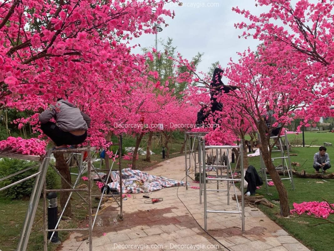 Cây hoa anh đào giả cao cấp