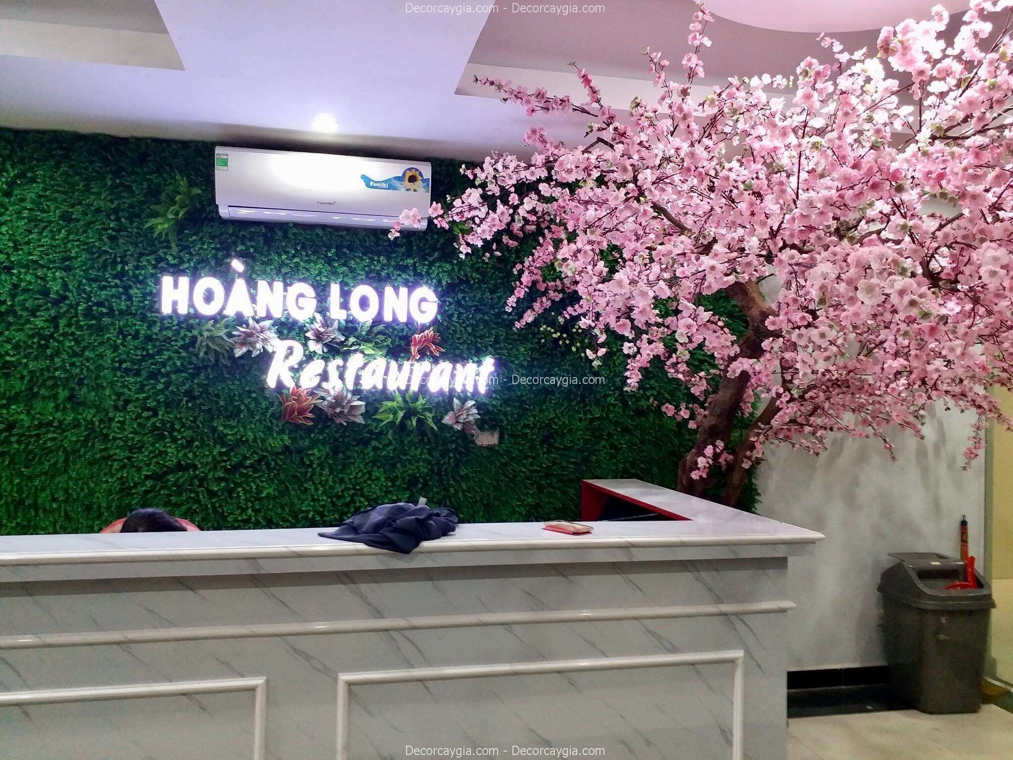 cay-hoa-anh-dao-gia-decor-cho-cong-ty