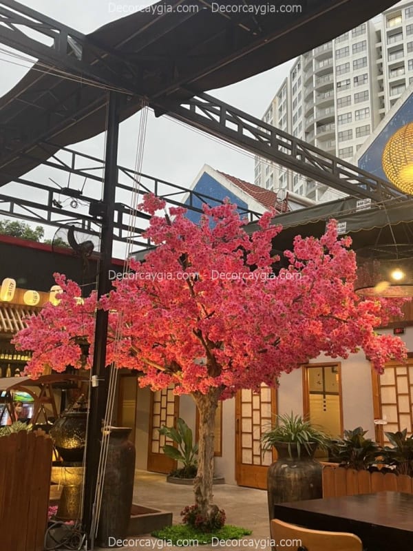 cây hoa anh đào giả
