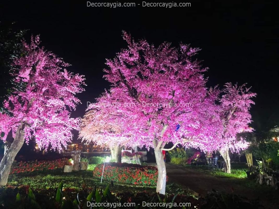 cây hoa anh đào giả