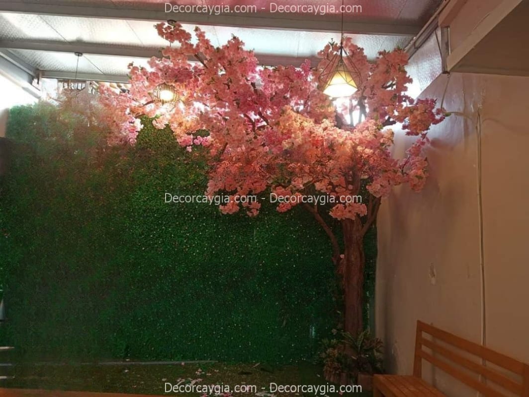 Cây hoa anh đào giả Huyện Nhà Bè