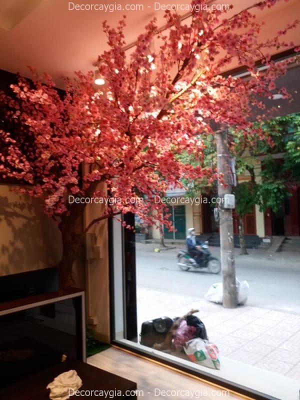 Cây hoa anh đào giả Nhật Bản
