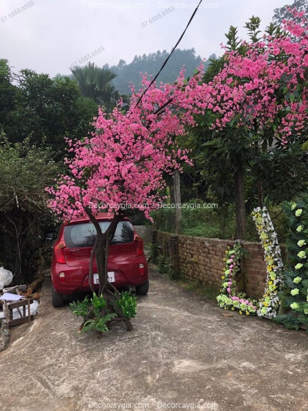 Cây hoa anh đào giả tại Bắc Ninh
