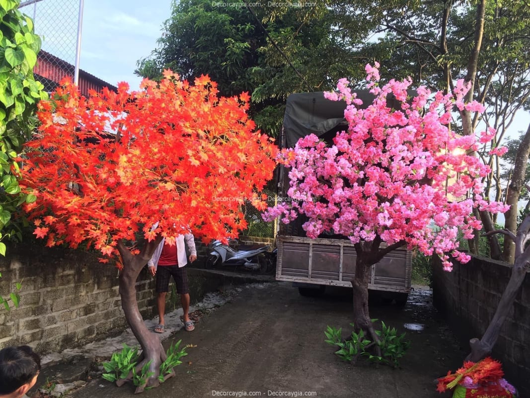 Cây hoa anh đào giả trang trí cao 2m2