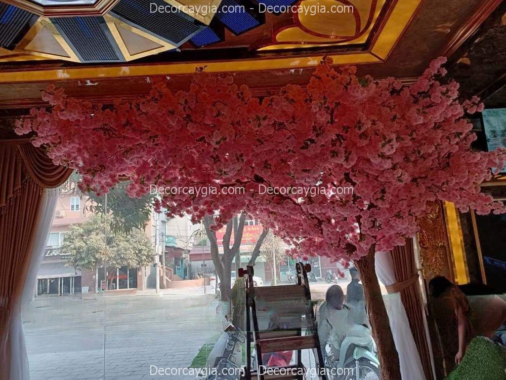 Cây hoa anh đào giả văn phòng Cây hoa anh đào giả văn phòng