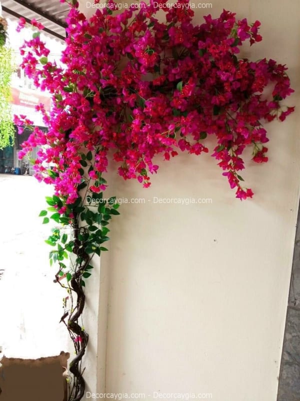 Cây hoa giấy giả Hà Nội