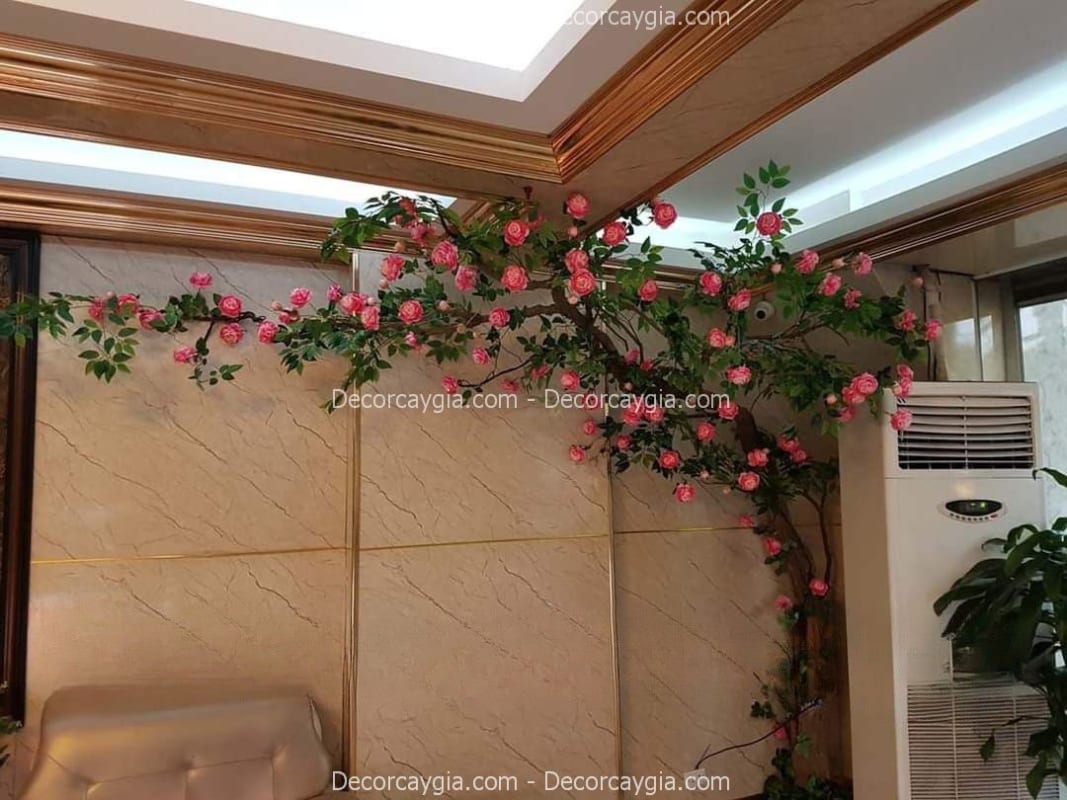 Cây hoa hồng giả
