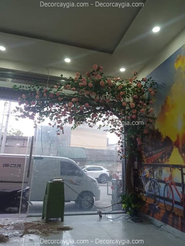 Cây hoa hồng giả tán lệch