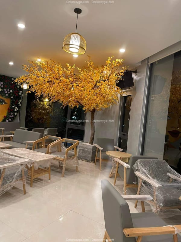 Cây hoa mai giả