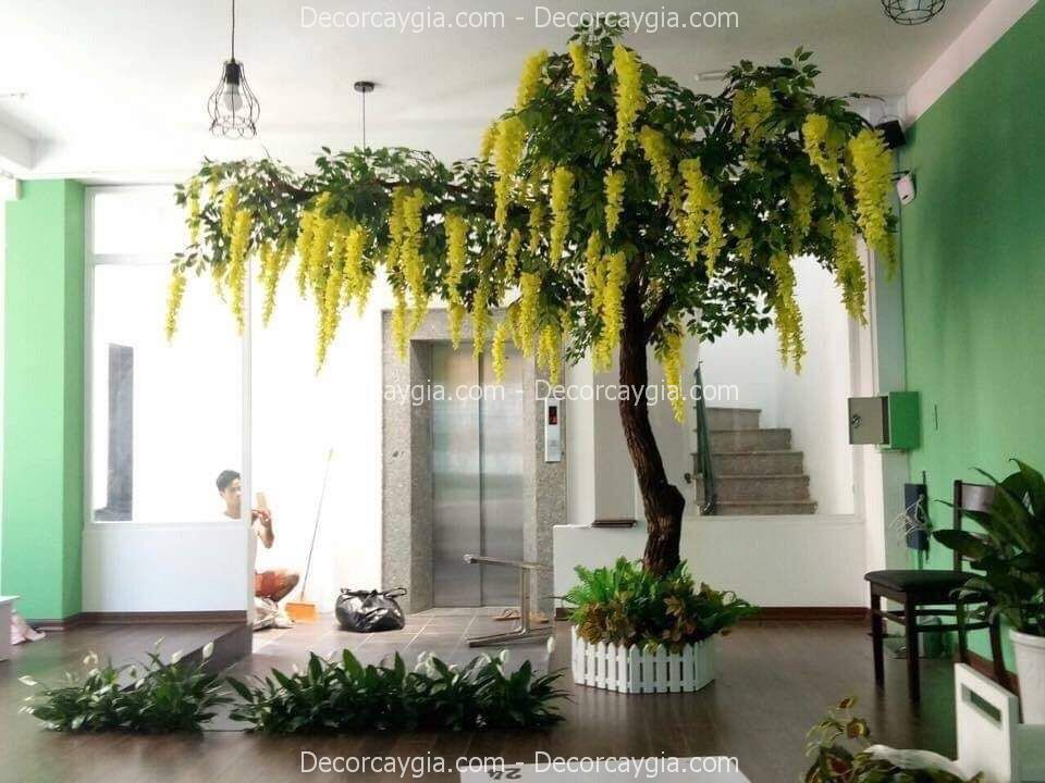 Cây hoa tử đằng