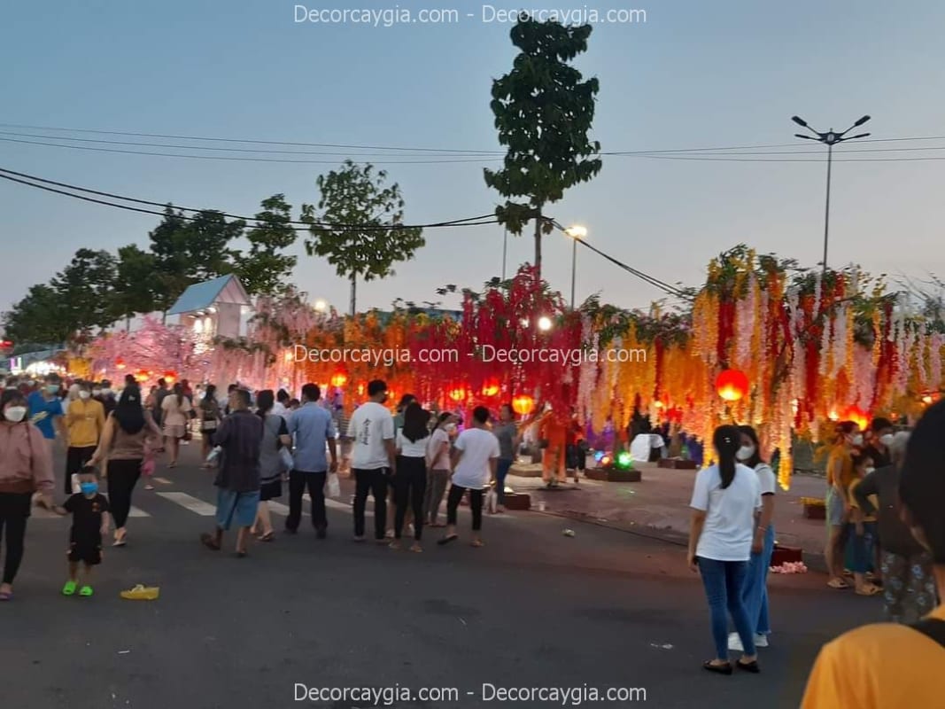 Cây hoa tử đằng