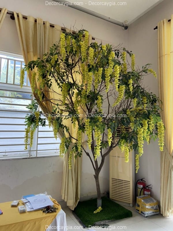 Cây hoa tử đằng