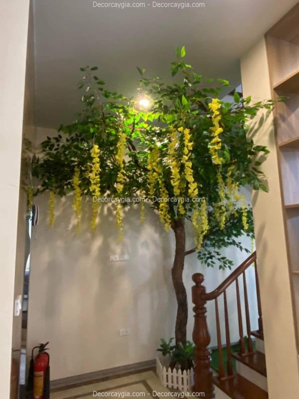 Cây hoa tử đằng