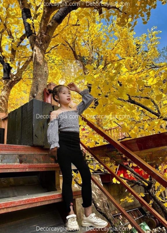 Cây lá vàng giả trang trí nhà hàng