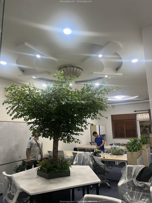 Cây lá xanh giả cao 3m