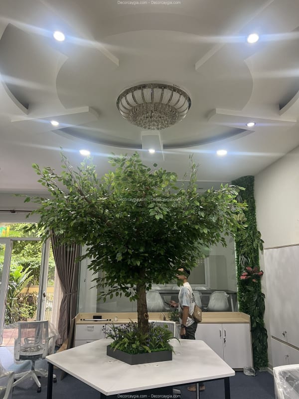 Cây lá xanh giả cao 3m