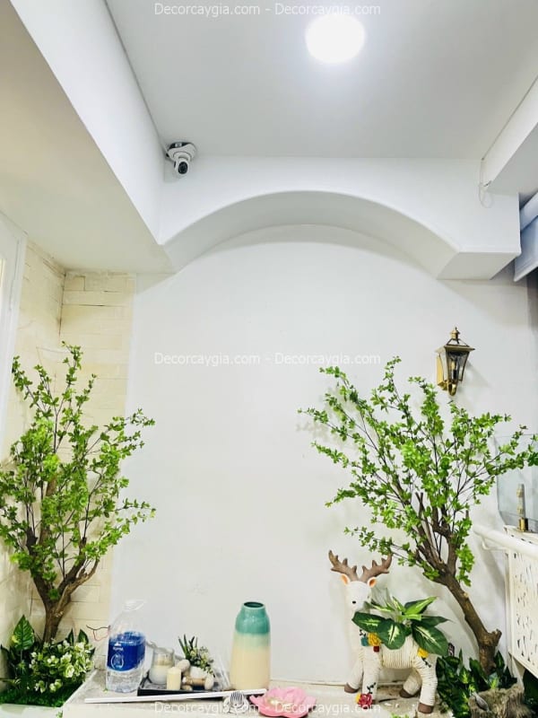 Cây lá xanh giả đẹp như thật
