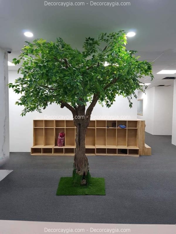 Cây Lá Xanh Giả Quận 11 TPHCM